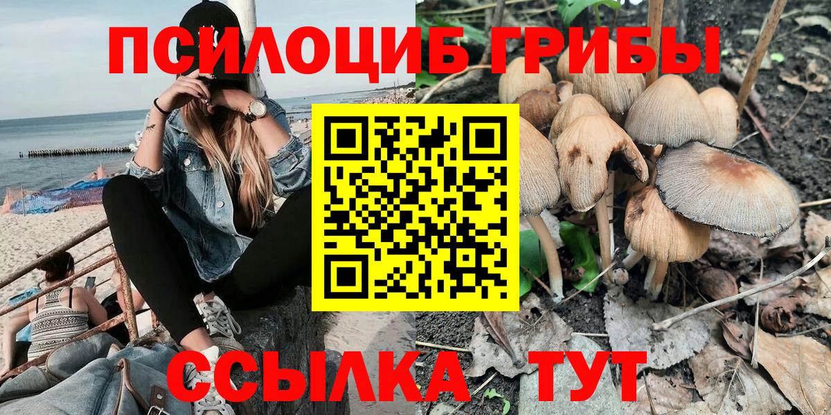 Галлюциногенные грибы Psilocybine cubensis Кулебаки