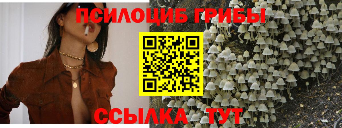 Псилоцибиновые грибы Psilocybe  Галлюциногенные грибы мухоморы  Кулебаки  Вход с VPN 